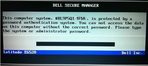 Remove Dell 1F5A System password